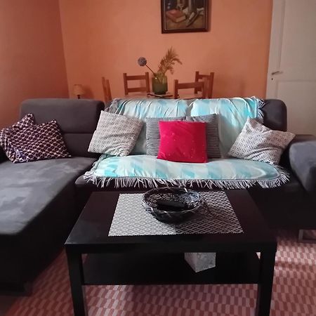 Appartement Spacieux Dans Joli Village Alsacien Шатенуа Екстер'єр фото