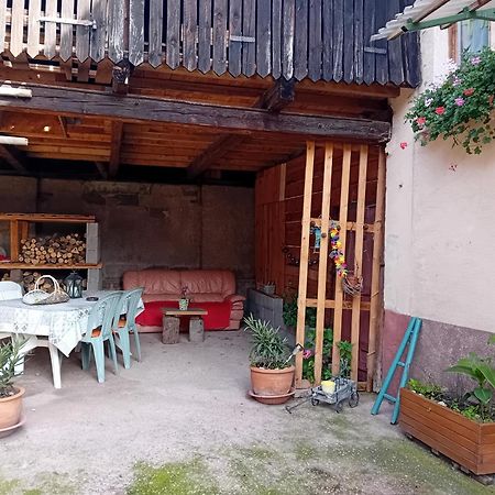 Appartement Spacieux Dans Joli Village Alsacien Шатенуа Екстер'єр фото