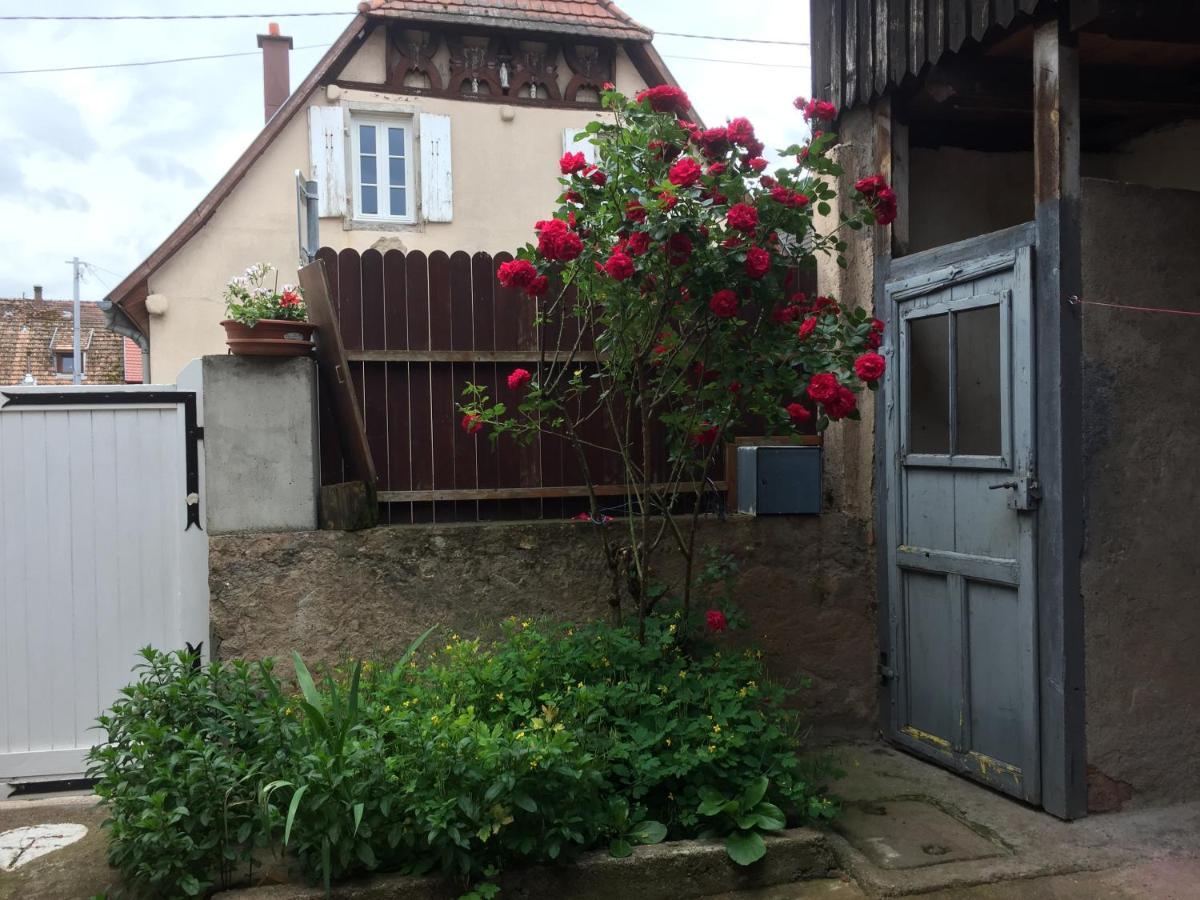 Appartement Spacieux Dans Joli Village Alsacien Шатенуа Екстер'єр фото